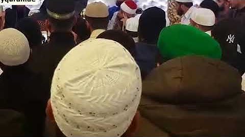 بریطانیا الشيخ محمود الشحات أنورسورة طه والشمس و قریش والفاتحة