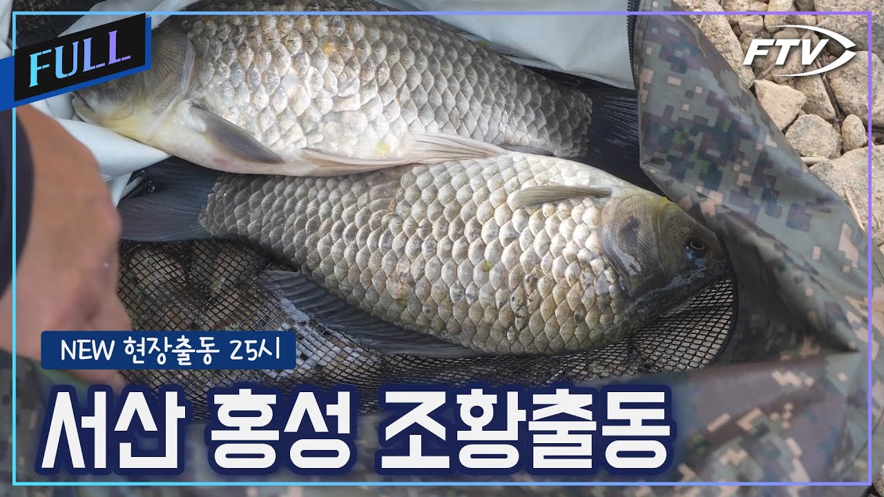 서산권 홍성권 조황출동 [NEW현장출동25시/79회]