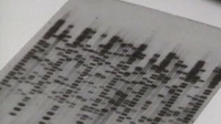 More people identified in tainted crime lab cases