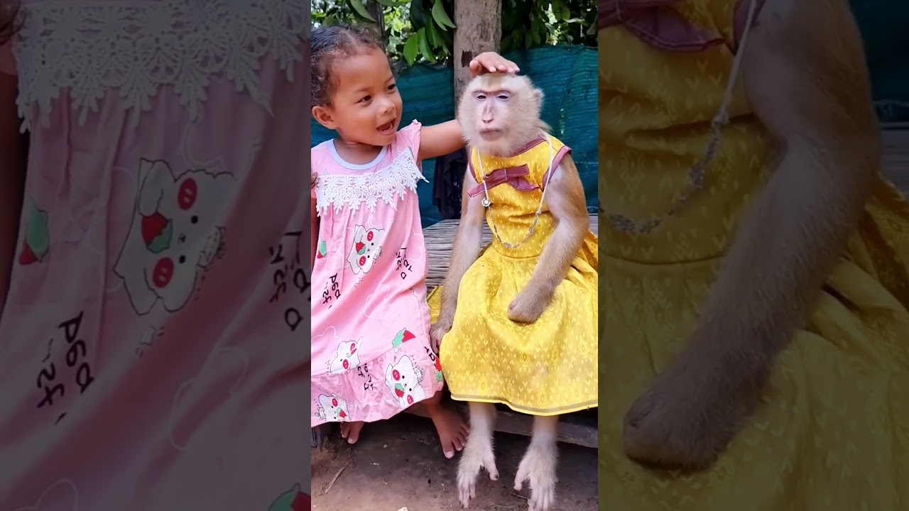 YaYa's Lovely Encounter with Friends  