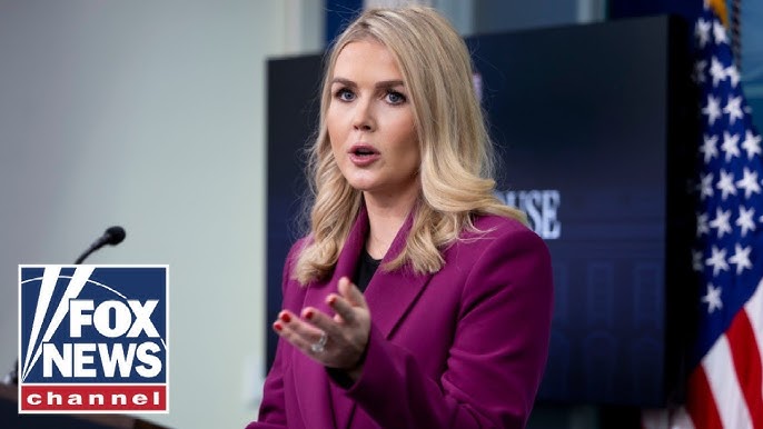 Karoline Leavitt takes legacy media to task in first briefing - YouTube