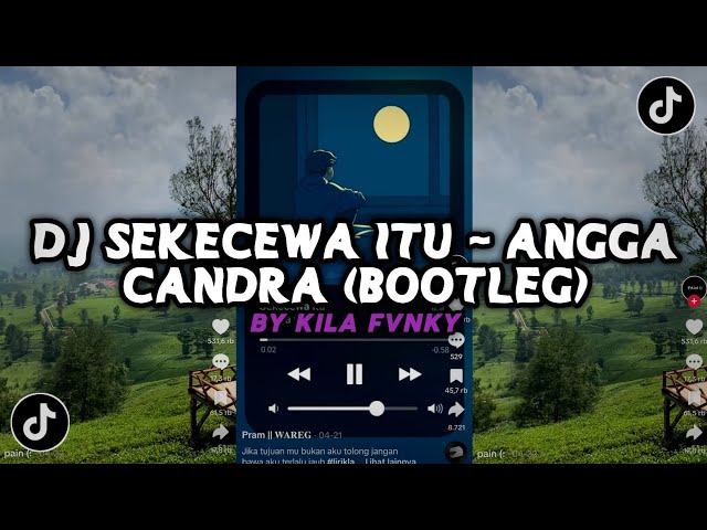 DJ SEKECEWA ITU - ANGGA CANDRA (BOOTLEG) MENGKANE KILA FVNKY VIRAL TIKTOK class=