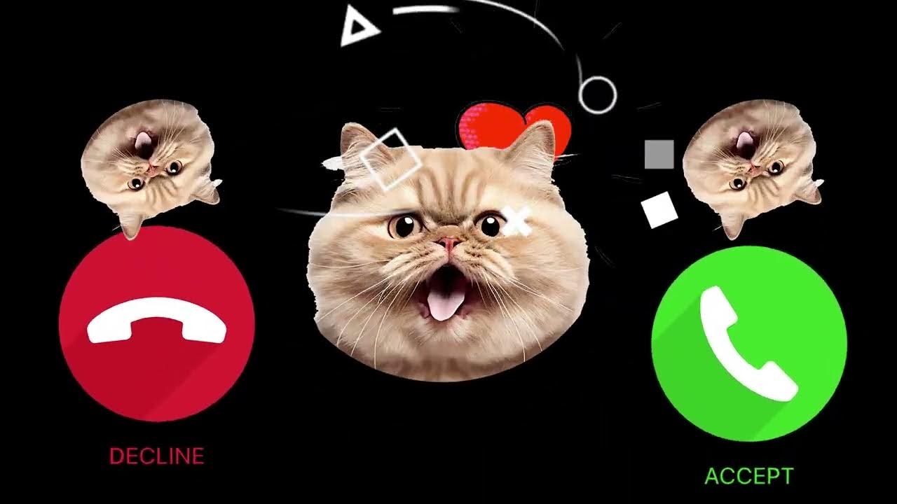 cat apple cats ringtone iphone mobile cats cute, apple ringtone cats