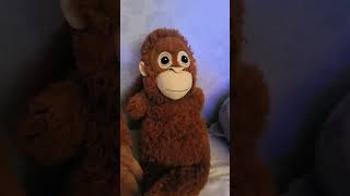 오랑이들의 rock that body #hiphop #dj #monkey #remix #music #cute