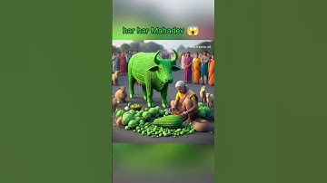 mahadev ji status video#shortsfeed#mahadev #mahakal #bholenath #trending#shivji #youtube