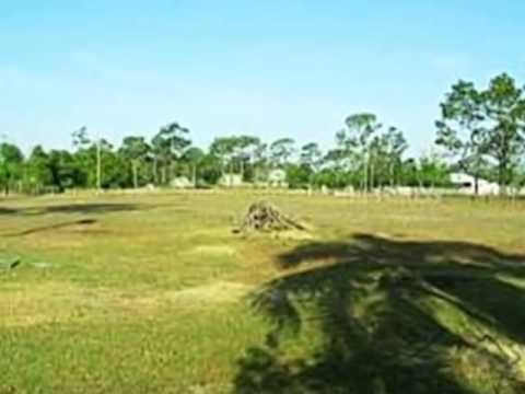 3457 Packard Ave, Saint Cloud, FL home video tour
