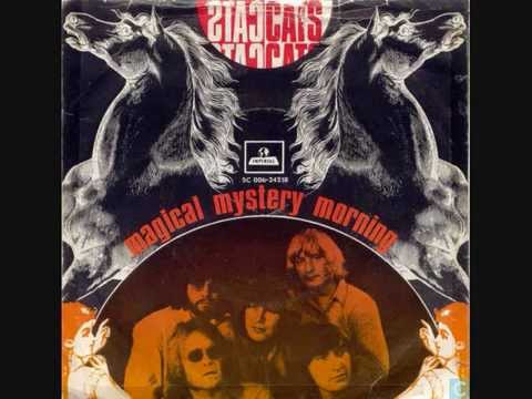 The Cats Magical mystery morning
