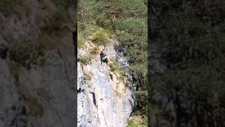 15 Meter Cliff Jump Gone Wrong #cliffjumping #fail #cliffjumpingfail