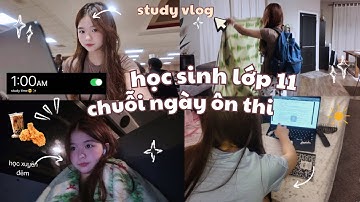 Study Vlog| Ôn Thi Giữa Kỳ Cùng Học Sinh Lớp 11 🤍| Cuộc sống Mỹ 