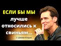 Всё в твоей жизни делается не с тобой, а для тебя. ДЖИМ КЕРРИ О ЖИЗНИ