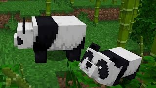 EP3 - Making a New Weaponry Minecraft Mod LIVE with MCreator!