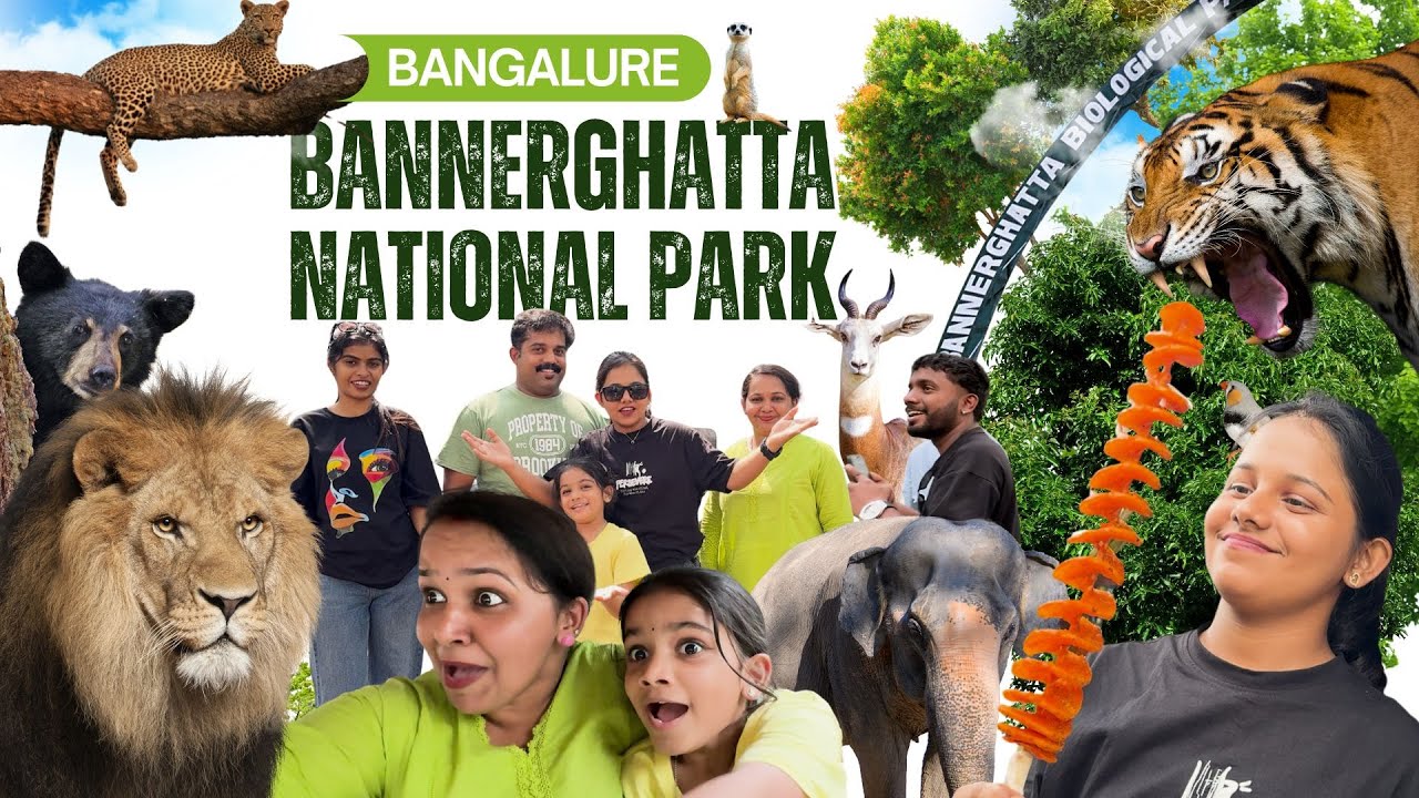 നാഷണൽ പാർക്കിലൂടെ ഒരു ബസ്സ് സഫാരി 👌 | Bannerghatta National Park