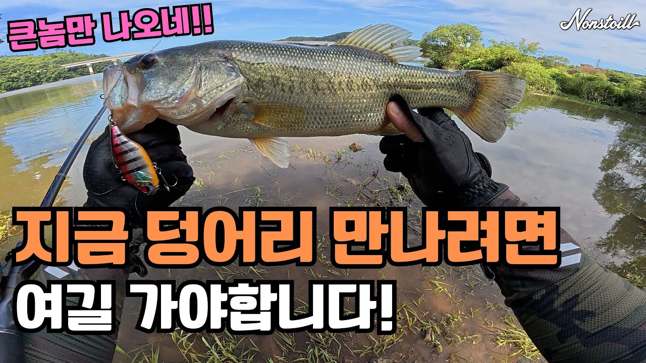 지금 덩어리 만나려면 이곳! 새물 유입 '포인트 공개'합니다!