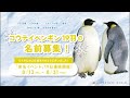 アーカイブ配信🐧 E005(ビッグファザー)名前発表