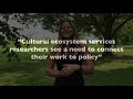 Cultural Ecosystem Services and Decision-Making