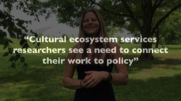 Cultural ecosystem services and decision-making