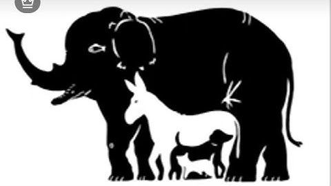 IQ - TEST .99% FAIL THIS ....