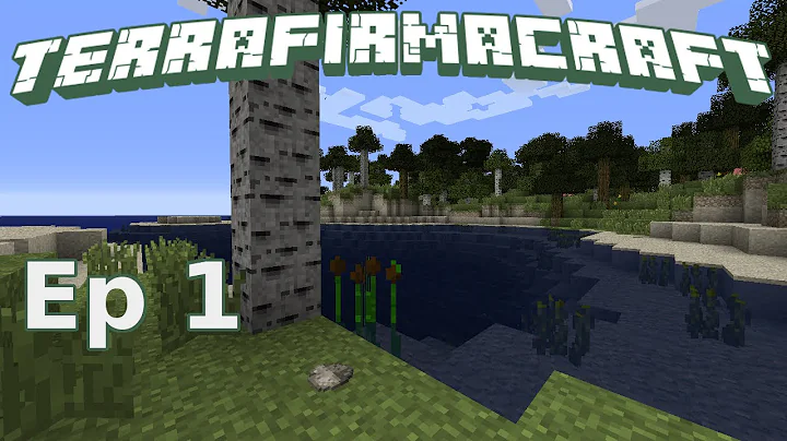 How to TerraFirmaCraft #1 The First Day
