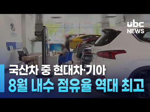 국산차 중 현대차·기아 8월 내수 점유율 역대 최고