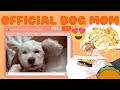 I ADOPTED A DOG! + DOG MOM + BIRRIA RAMEN | Michelle Choi