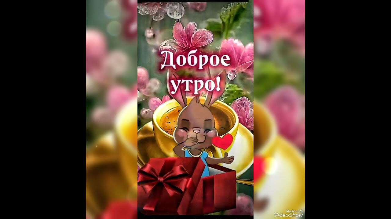 оксана джелиева без вины. минусовка песни без вины виноватая. без вины виноватая цитаты. минусовка песни без вины виноватая. минусовка песни без вины виноватая.