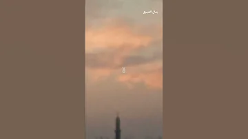 الشروق مع صوت العصافير 