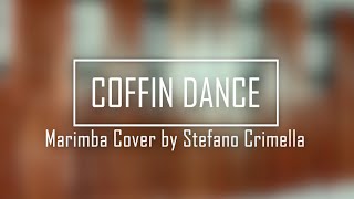 COFFIN DANCE - Marimba Cover by Xilophone