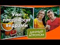 СРОЧНО сделайте ТОМАТАМ огурцам КАПУСТЕ и КЛУБНИКЕ в июле