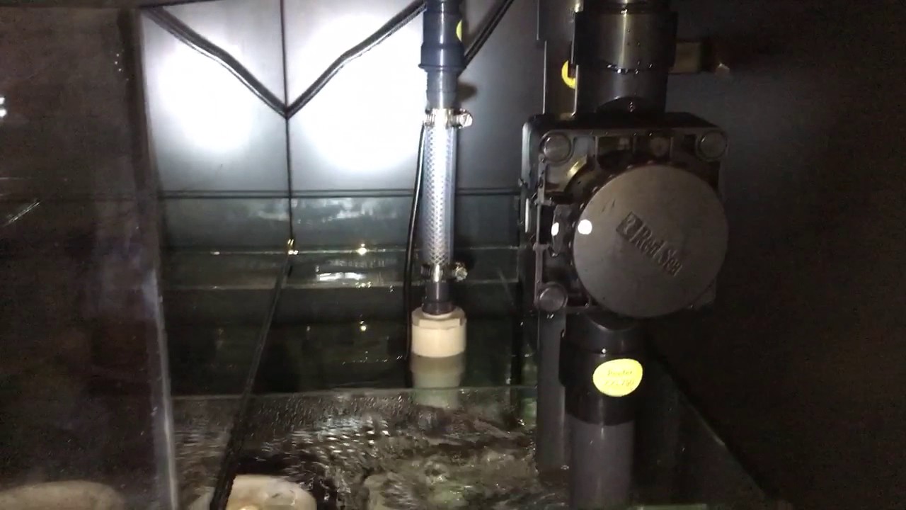 Red Sea Reefer 750 Xxl Freshwater Leak Test Update 2 Youtube Red Sea Reefer 750 Xxl Freshwater Leak Test Update 2 Youtube