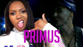 FIRST TIME LISTENING TO Primus - Jerry Was A Race Car Driver REACTION