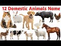 12 Domestic Animals Names in English with Pictures &amp; Sounds for Kids
