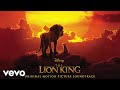 Billy Eichner, Seth Rogen - The Lion Sleeps Tonight (From &quot;The Lion King&quot;/Audio Only)