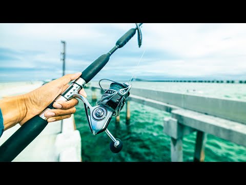 2 Days Fishing Skyway Pier With Live Bait | Bite Was on 🔥