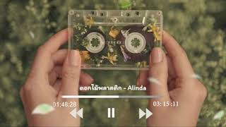 Miniatura del video "ดอกไม้พลาสติก - Alinda"