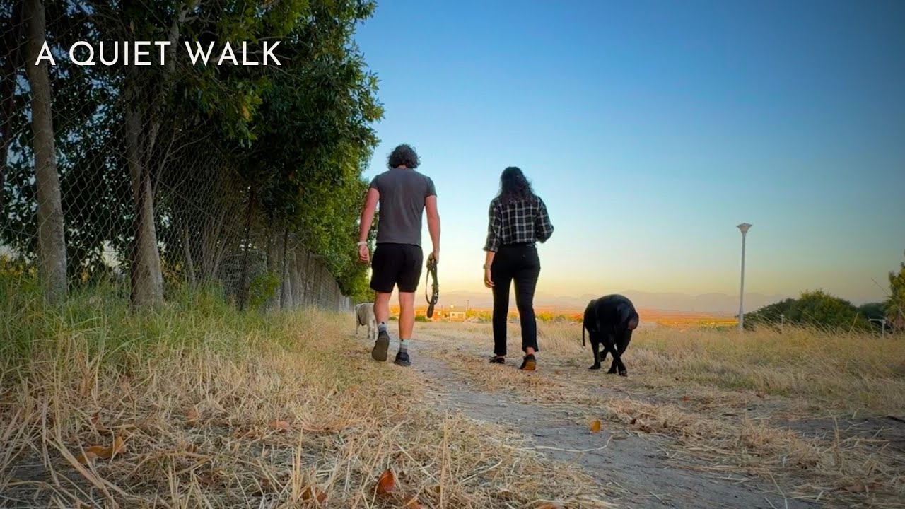A Quiet Walk at the Dog Park
