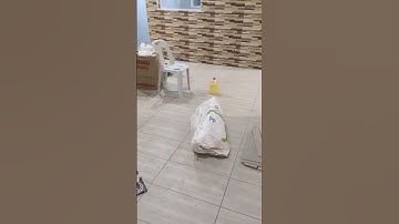 Balancing Aesthetics and Functionality in Design - Project Construction 😎👍