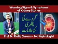 Warning Signs Symptoms Of Kidney Stones Treatment Of Stones Kidneystone Bestnephrologist Warning Signs Symptoms Of Kidney Stones Treatment Of Stones Kidneystone Bestnephrologist