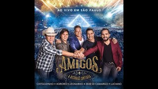 Amigos - Show "A História Continua"