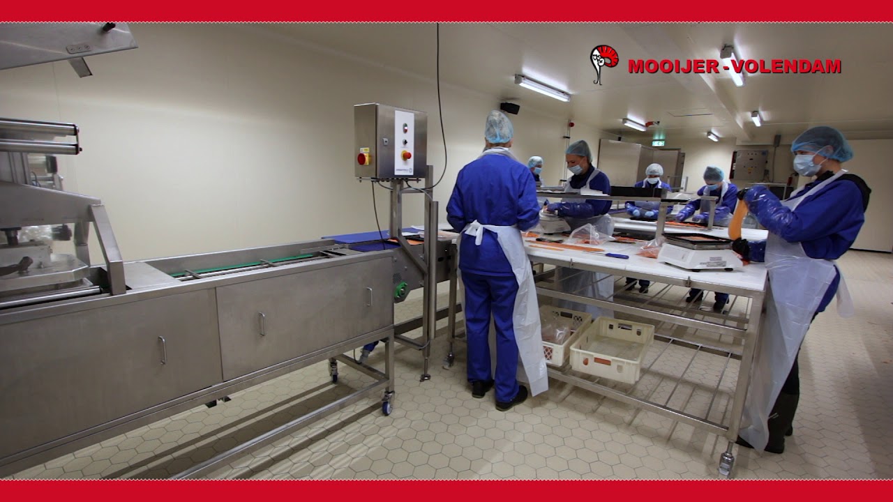 Mooijer Volendam B V    Zalm ZW  VO