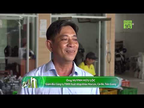 Video SANCOPACK - Chuyên Cung Cấp Giải Pháp Bảo Quản Trái... - youtube