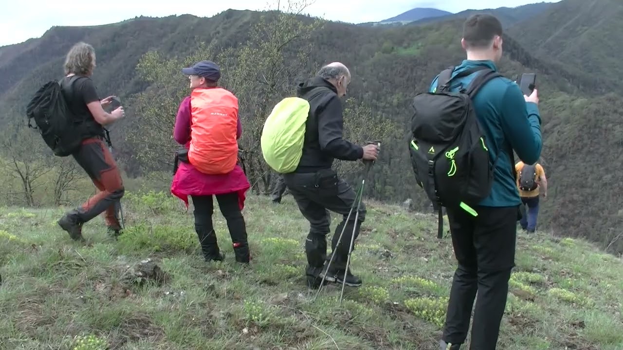 Meandri Uvca na Zlatiboru 26.04.2025