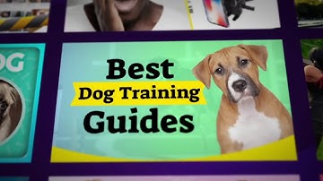 Thumbnail Blaster - AI based Software to create Youtube Thumbnails