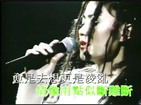 王菲〈愛與痛的邊緣〉Karaoke MV(Instrumental)