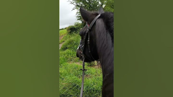 Just a tractor with a slurry tank on the back …#cob #gypsyvanner #stables #horseriding