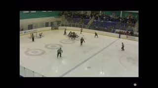 Telford tigers vs Sheffield steeldogs (fight) screenshot 5