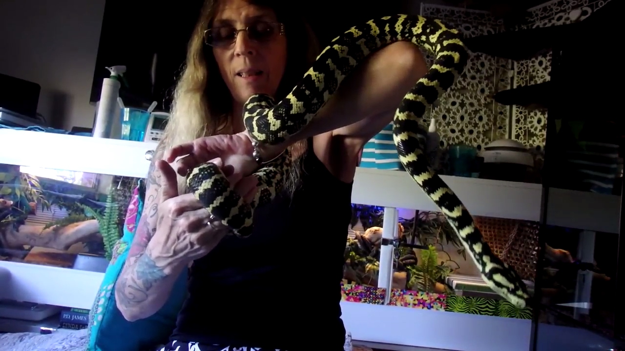 caring for rat snakes Silly Snake Jesse