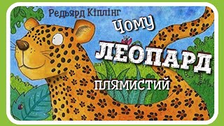 Чому ЛЕОПАРД плямистий (Редьярд Кіплінг) - #АУДІОКАЗКА українською мовою