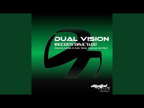 Dual Vision — How Does It Feel