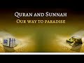 Seeking Allaah S Guidance Qur Aan Sunnah Abu Amaanee Seeking Allaah S Guidance Qur Aan Sunnah Abu Amaanee