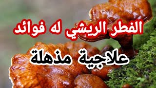 الفطر الريشي فوائده ومعجزاته الربانية/د.كريم علي